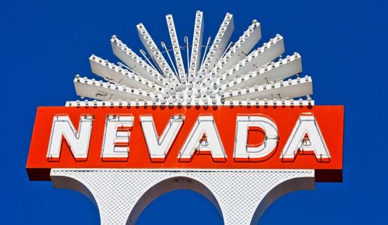 Обсуждение статуса фэнтези-спорта в штате Невада прошло на заседании Комитета по вопросам азартных игр (Nevada Gaming Policy Committee ― NGPC).